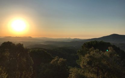 El risc d’incendi als boscos de Tordera disminueix respecte a altres anys