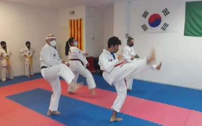 El TKD+Tordera aconsegueix mantenir la massa social i amplia la seva oferta de classes
