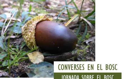 Hortsavinyà acull dissabte una jornada formativa sobre el bosc