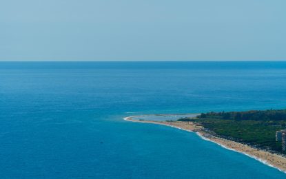 Ajuntaments i naturalistes reclamen més protecció pel delta de la Tordera després de l’augment “inèdit” d’espècies en aquest paratge