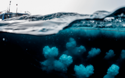 Comença el projecte TecnoGirl amb el taller ‘El CO2 al Mar’