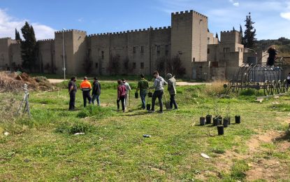 Tordera tindrà un arborètum municipal al parc urbà de Sant Jaume