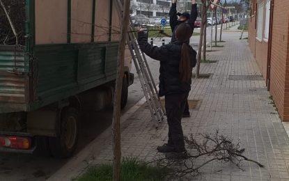 Obert el procés de selecció de Plans Ocupacionals per a treballar, amb caràcter temporal, a l’Ajuntament de Tordera
