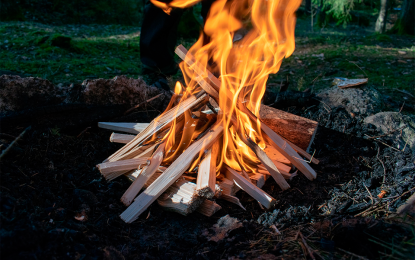Comença la prohibició de fer foc al bosc