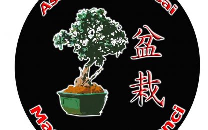 La Teranyina ens convida a iniciar-nos al món dels bonsais amb l’Associació Bonsai Masia Can Florenci
