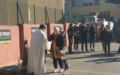 Una quarantena d’animals van ser beneïts a Tordera per Sant Antoni Abat