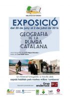 expo rumba catalana