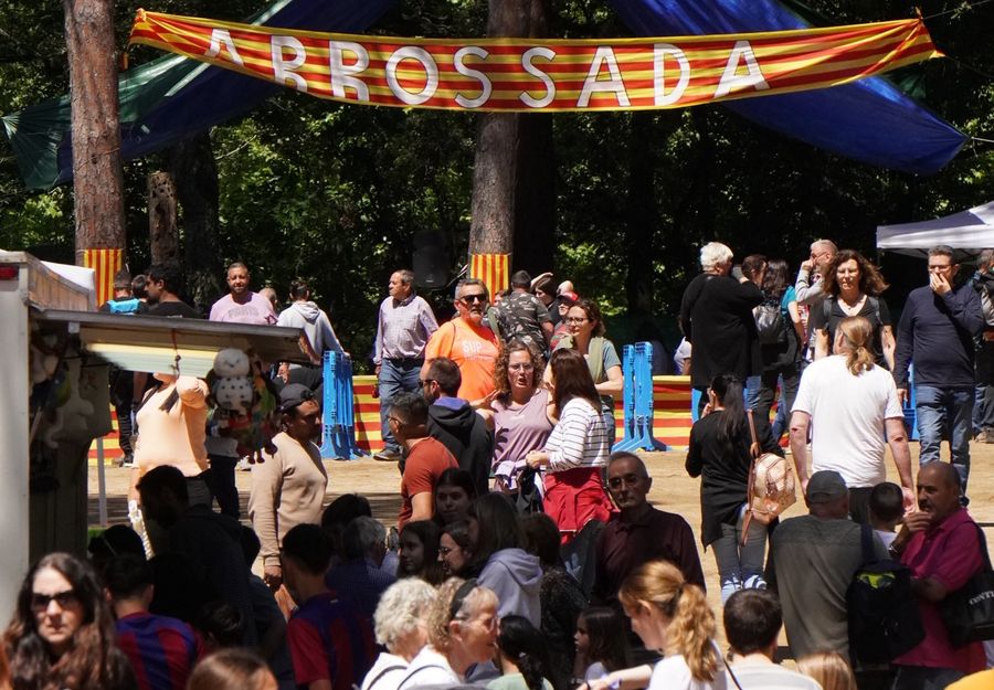 sant ponç 25