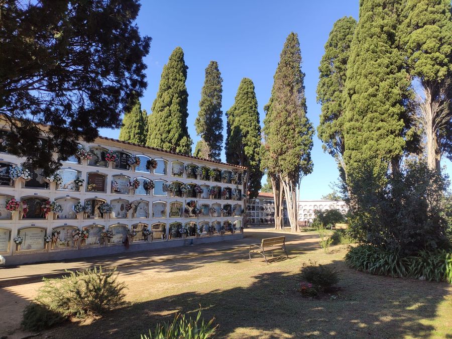 cementiri vell 29-10-25