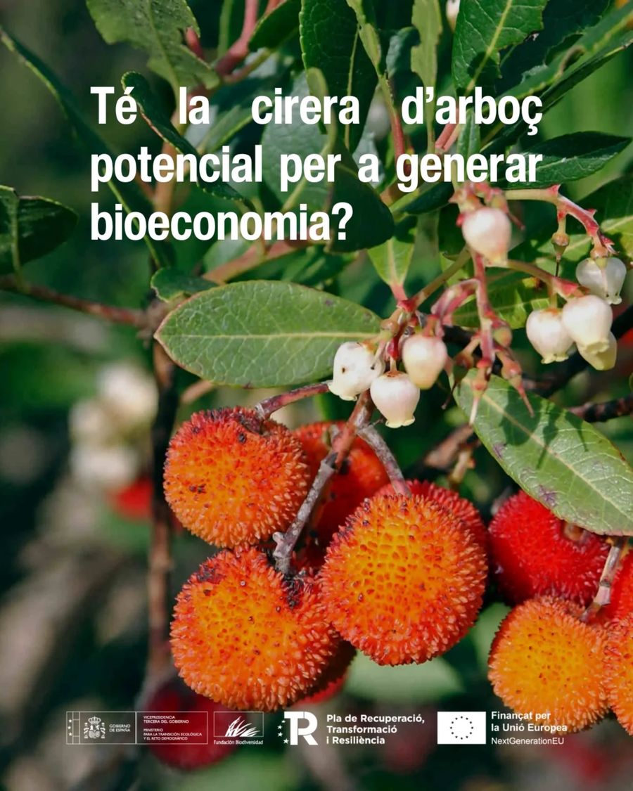 plantes oblidades