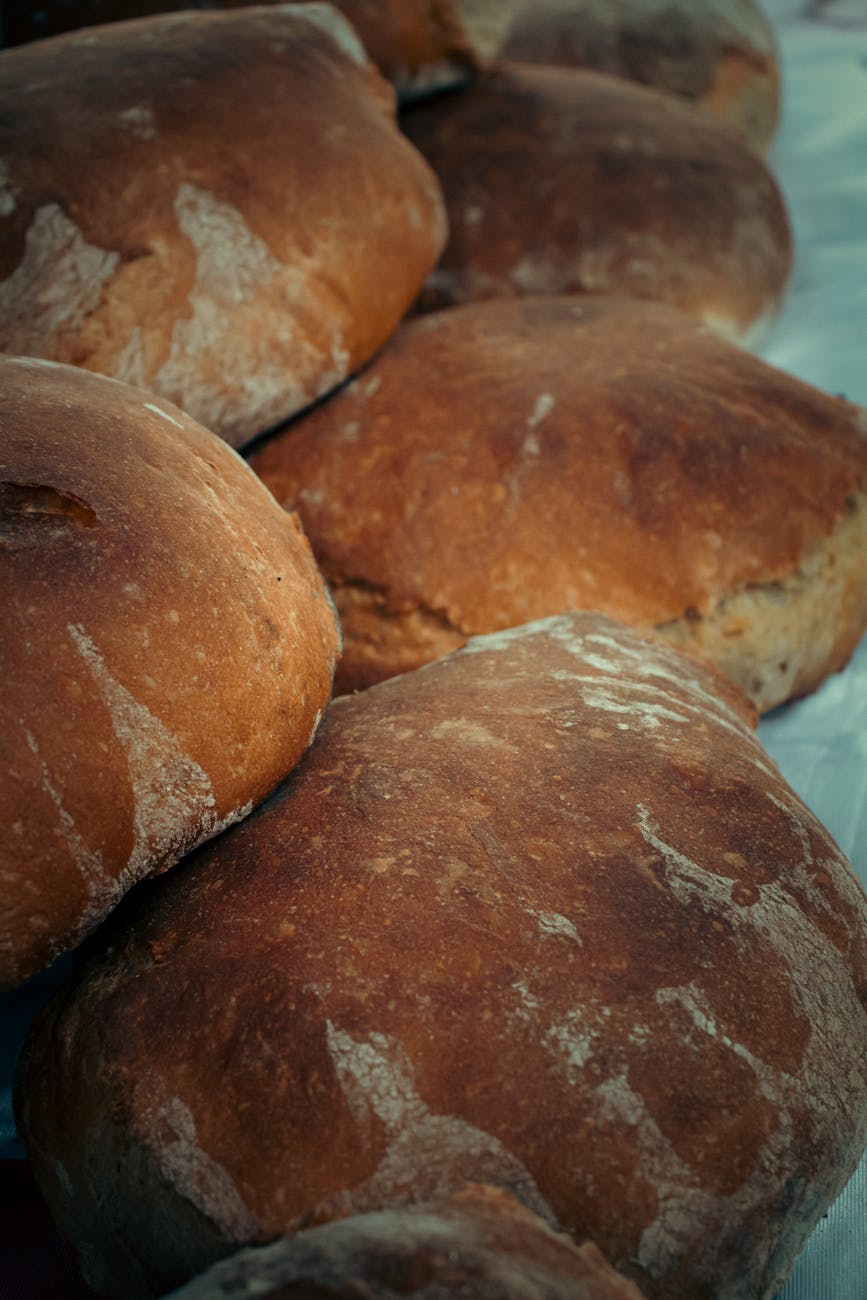 freshly baked rustic bread loaves